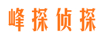 和平区市侦探公司